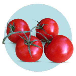 Imagen del producto 001502