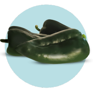 Imagen del producto 001511