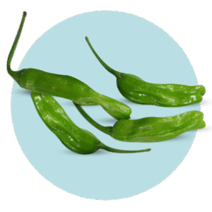 Imagen del producto 001518