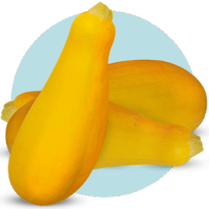 Imagen del producto 001519
