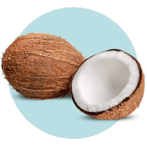 Imagen del producto 001531