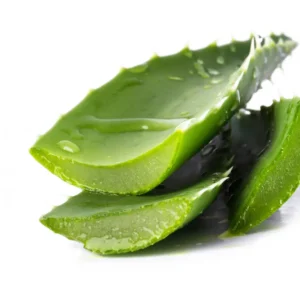 Aloe Vera 24.26