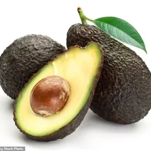 Avocados 32