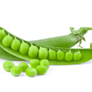 Ejote
