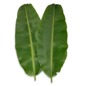 Hoja de platano