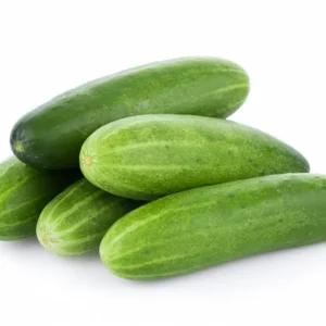 Pepino Large