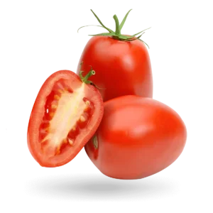 Tomato Roma XXL